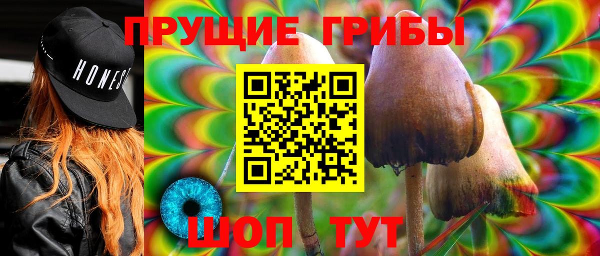 Псилоцибиновые грибы мухоморы Электросталь