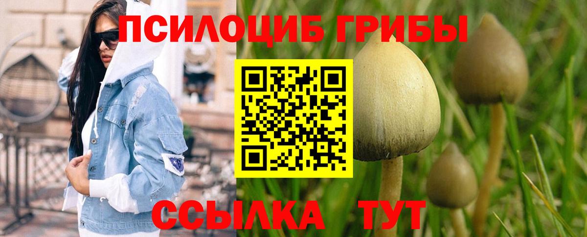 Галлюциногенные грибы Magic Shrooms  Вход с VPN  Электросталь  Галлюциногенные грибы Psilocybe 